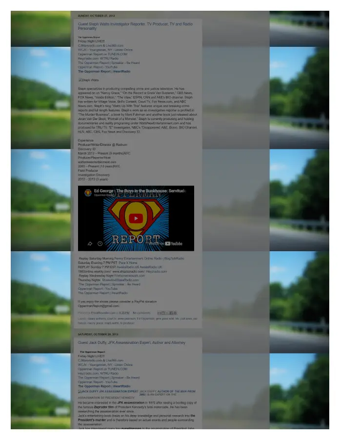 Page 12 of preserved The Opperman Report Blogspot — 2013 capture