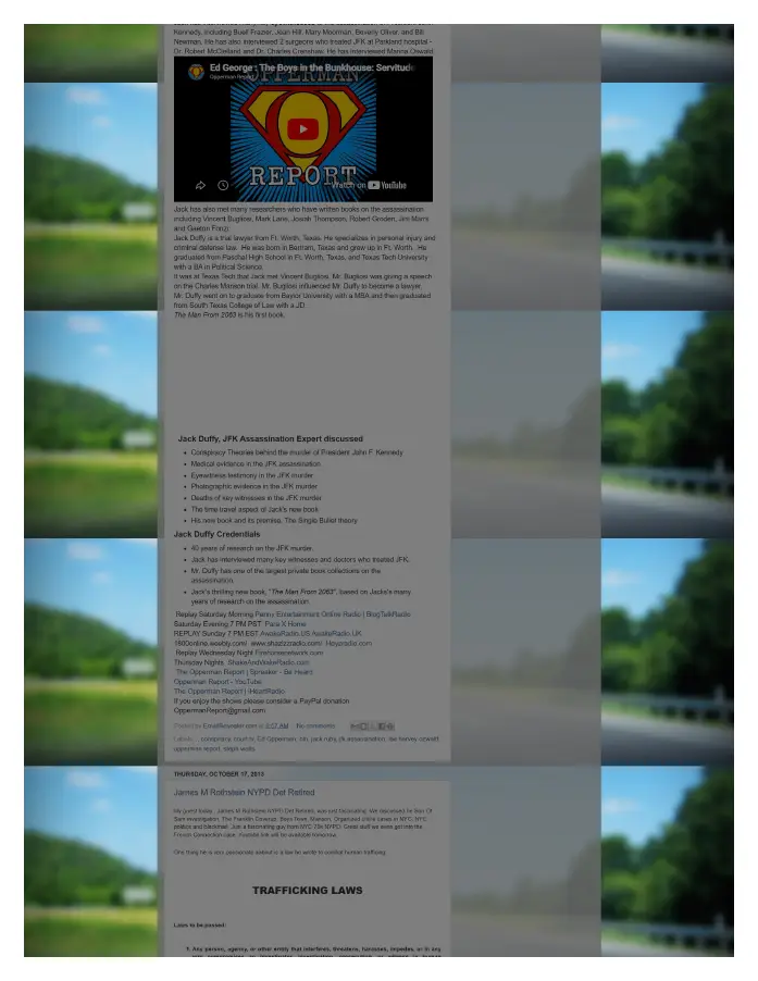 Page 13 of preserved The Opperman Report Blogspot — 2013 capture