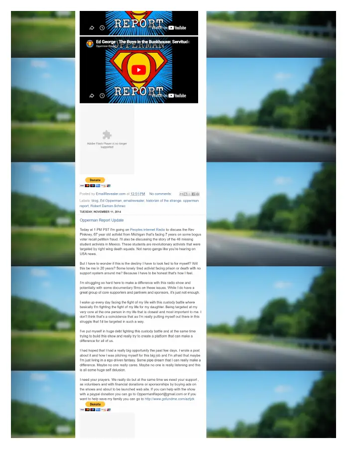 Page 11 of preserved The Opperman Report Blogspot — 2014 capture