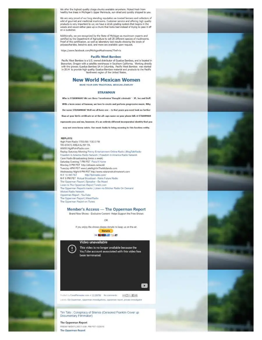Page 2 of preserved The Opperman Report Blogspot — 2015 capture