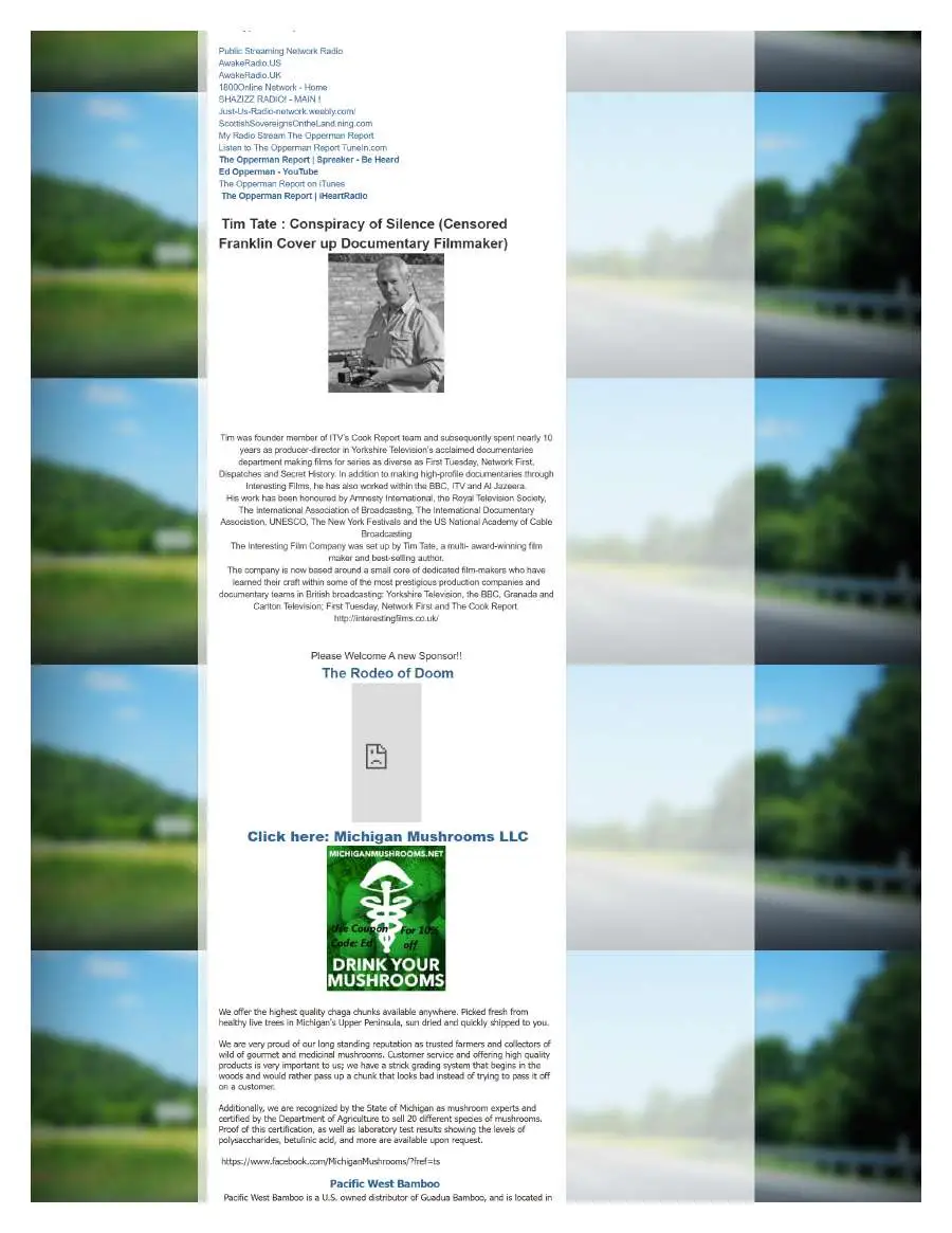Page 3 of preserved The Opperman Report Blogspot — 2015 capture