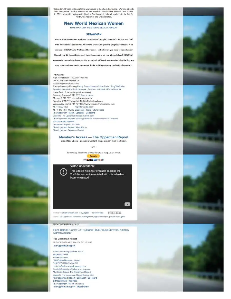 Page 4 of preserved The Opperman Report Blogspot — 2015 capture