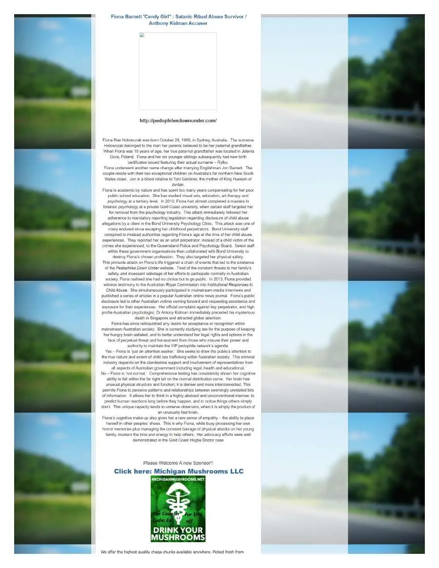 Page 5 of preserved The Opperman Report Blogspot — 2015 capture
