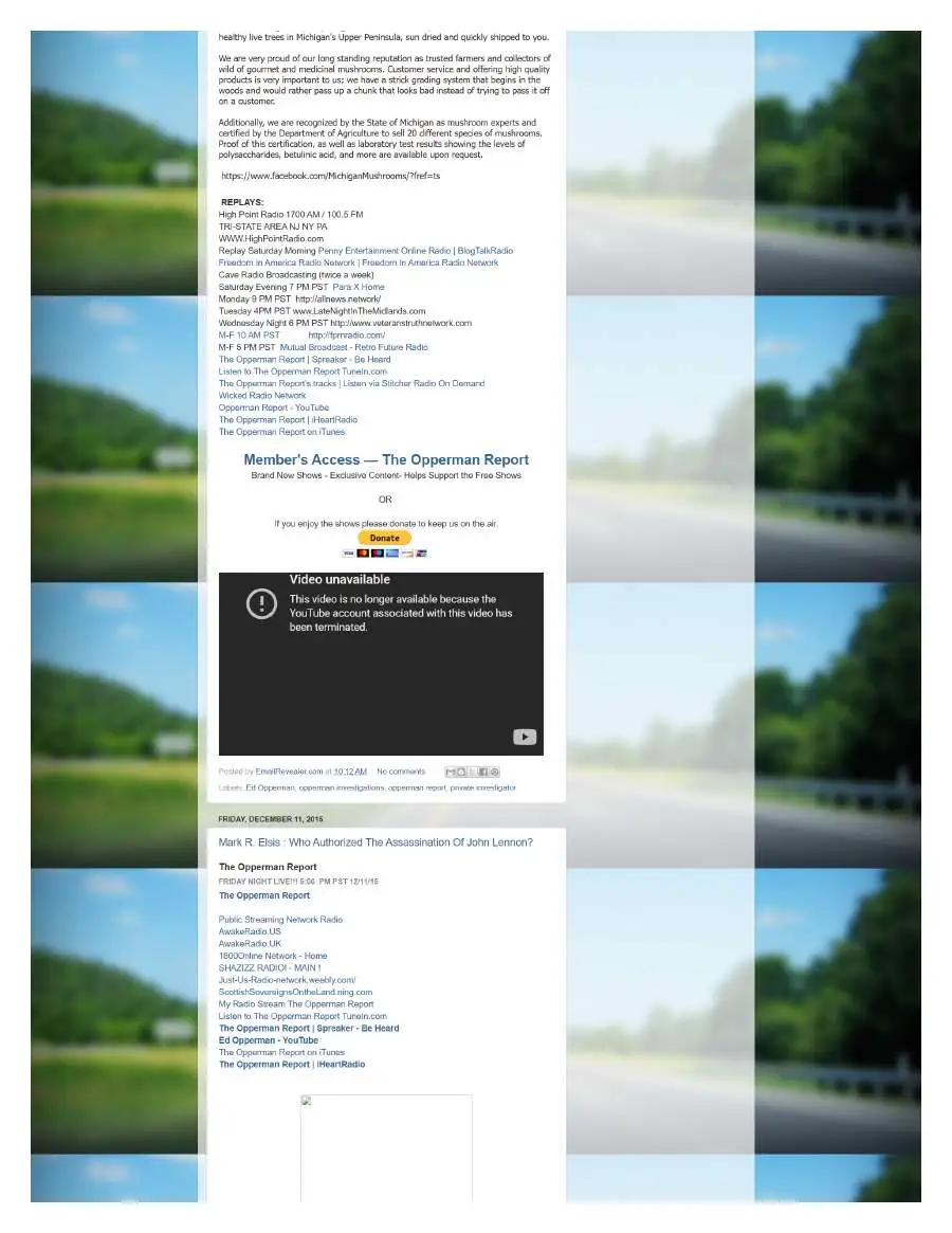 Page 6 of preserved The Opperman Report Blogspot — 2015 capture