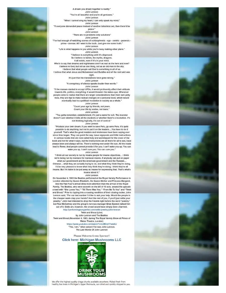 Page 8 of preserved The Opperman Report Blogspot — 2015 capture