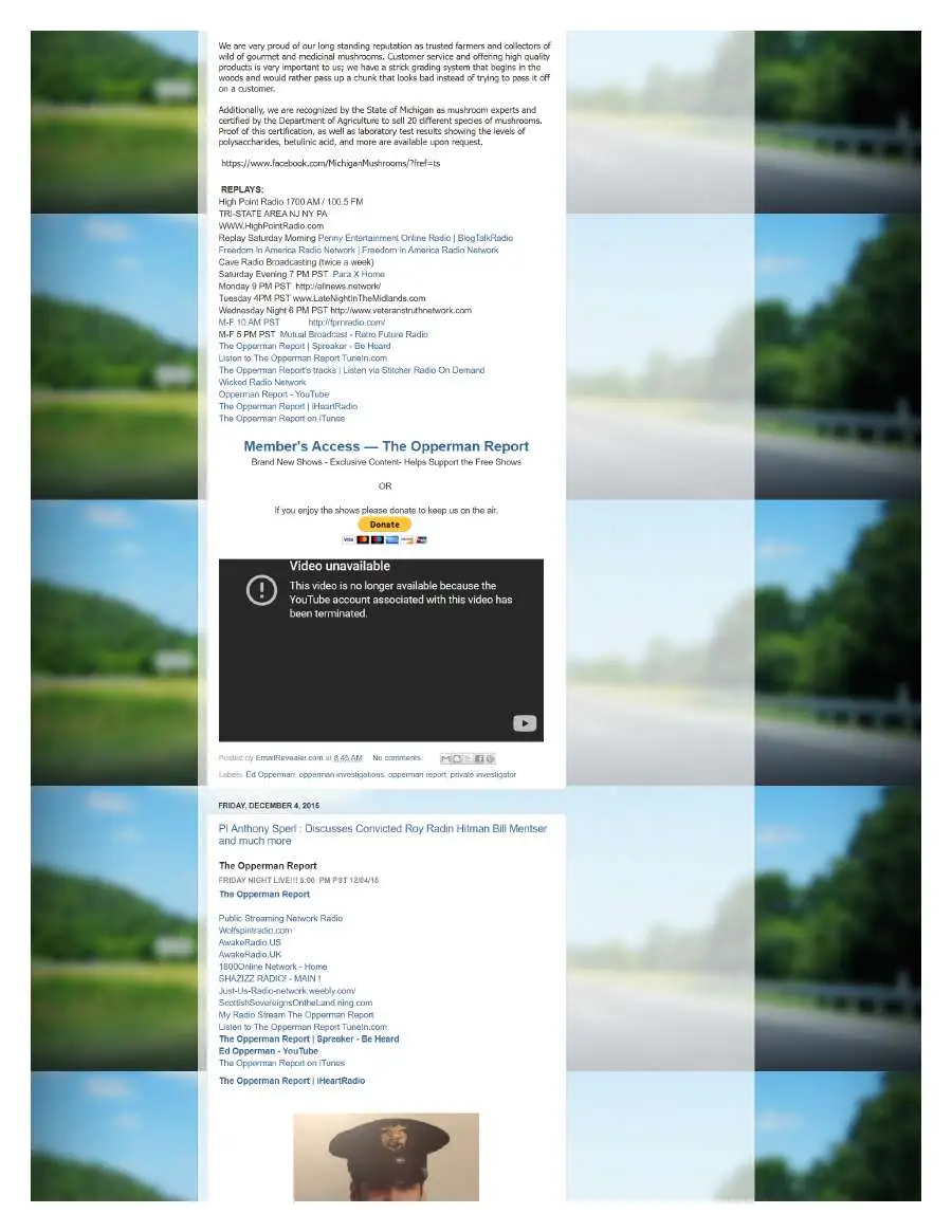 Page 9 of preserved The Opperman Report Blogspot — 2015 capture