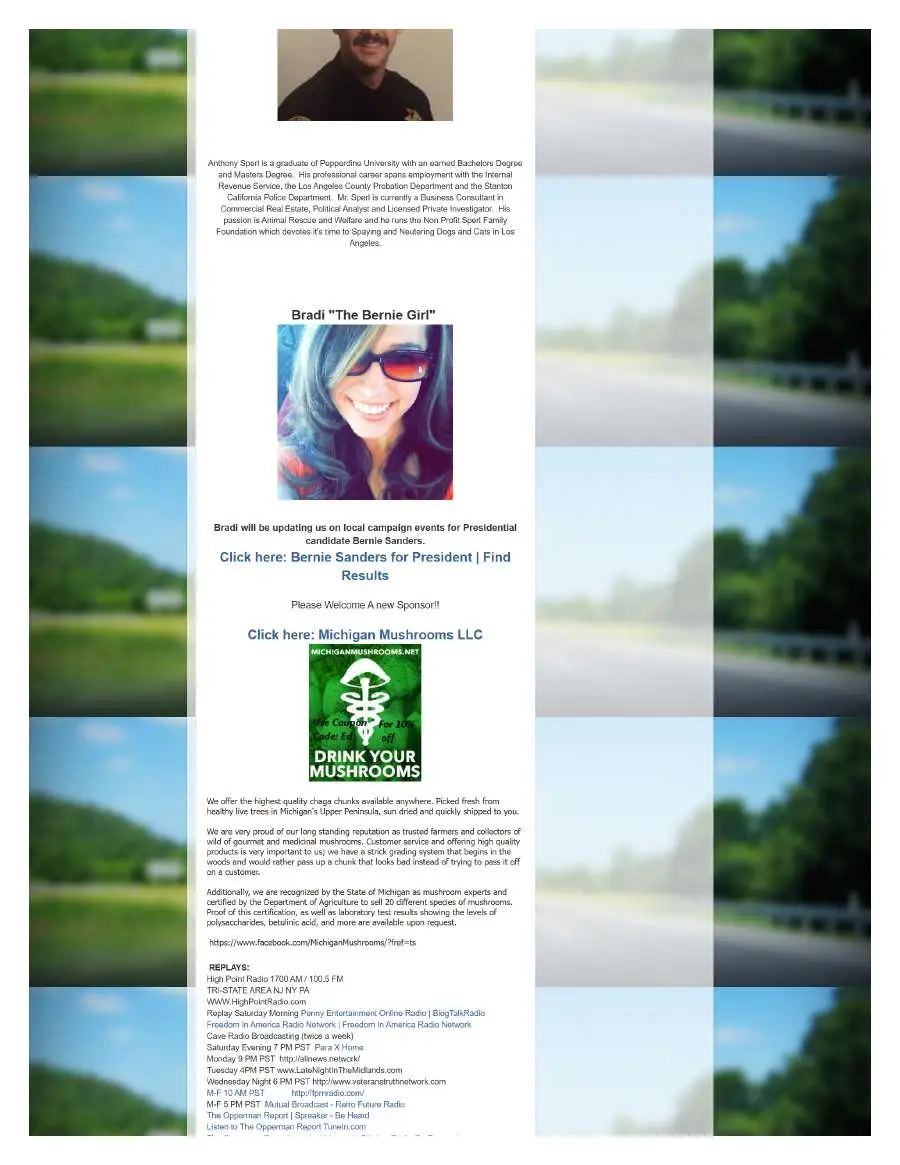 Page 10 of preserved The Opperman Report Blogspot — 2015 capture