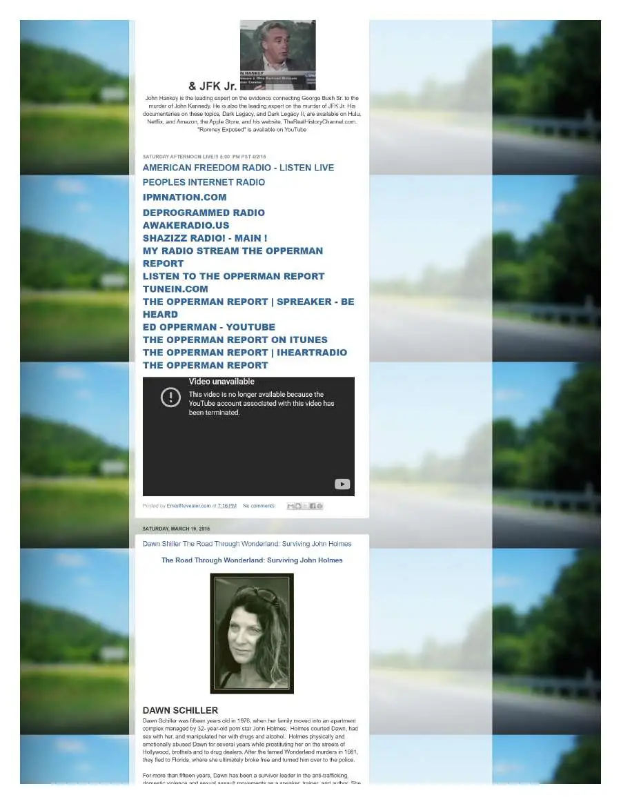 Page 7 of preserved The Opperman Report Blogspot — 2016 capture