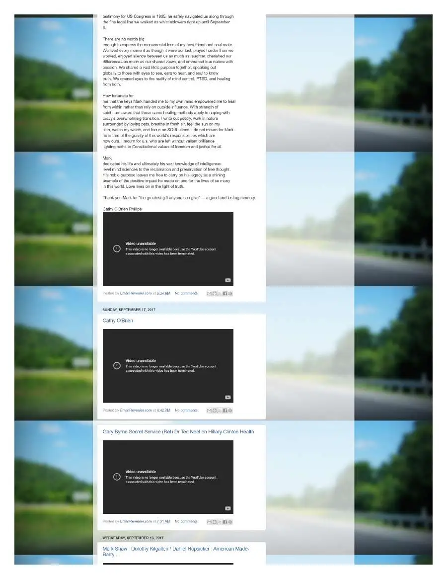 Page 5 of preserved The Opperman Report Blogspot — 2017 capture