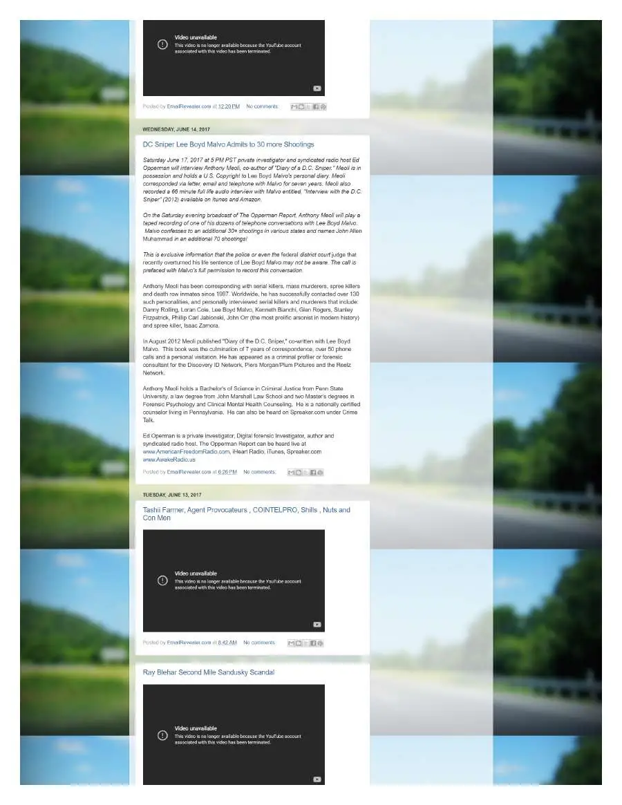Page 7 of preserved The Opperman Report Blogspot — 2017 capture